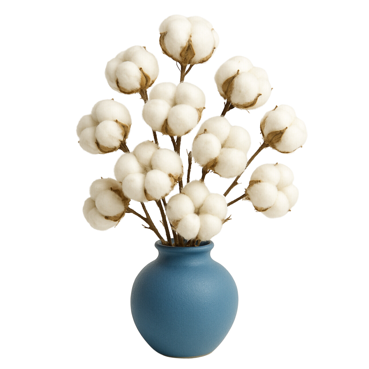 environnement évoquant le musc blanc